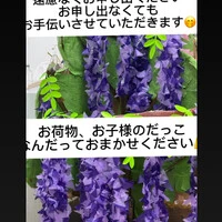 画像271